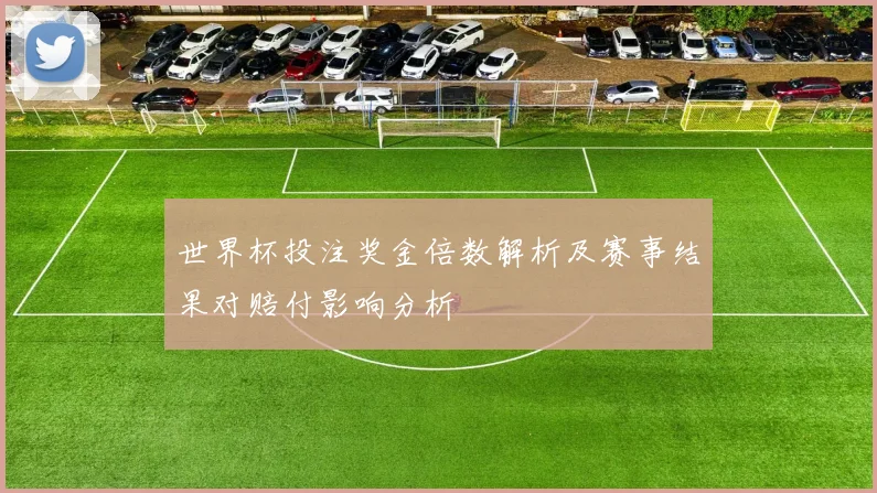 世界杯投注奖金倍数解析及赛事结果对赔付影响分析