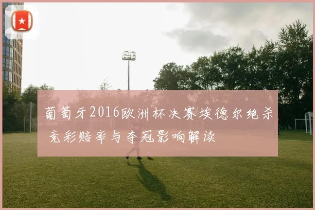 葡萄牙2016欧洲杯决赛埃德尔绝杀 竞彩赔率与夺冠影响解读