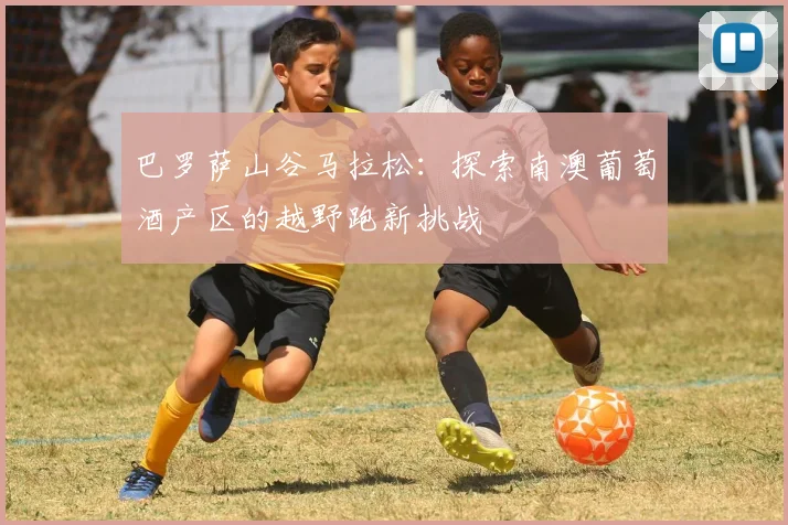 巴罗萨山谷马拉松：探索南澳葡萄酒产区的越野跑新挑战