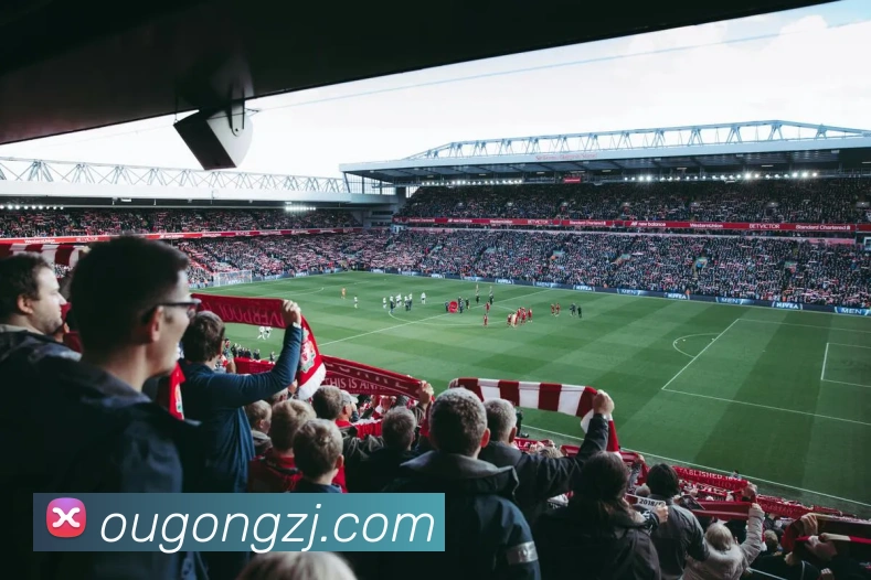 爱体育官网app下载服务体系